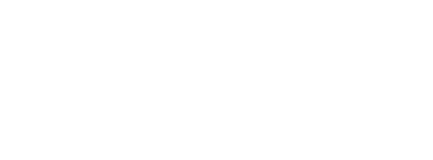 cyberEssentials_PLUS_white